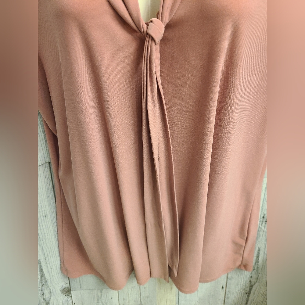 Liz McCoy Tie-Front Top with Sheer Top/Sleeves, Size 1X - Picture 3 of 7